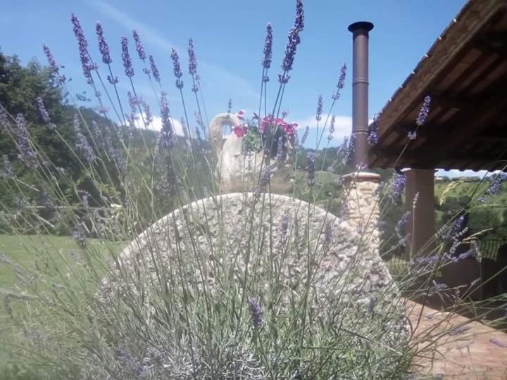 Agriturismo Isola Verde Sant'Urbano Экстерьер фото
